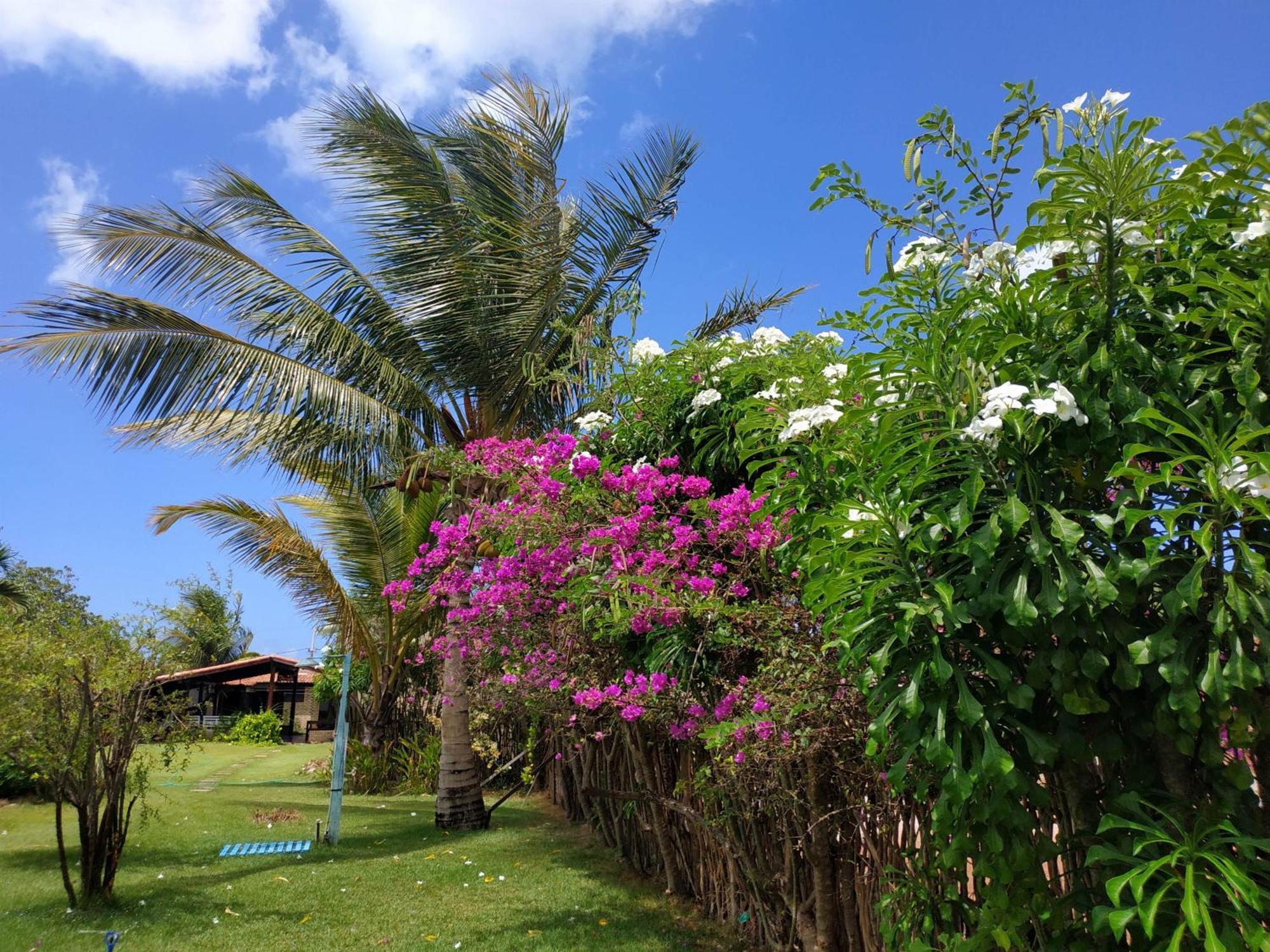 Pousada Area Talisma Hotel Sao Miguel do Gostoso Ngoại thất bức ảnh